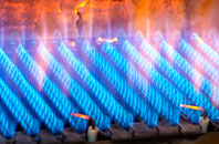 Roslin gas fired boilers